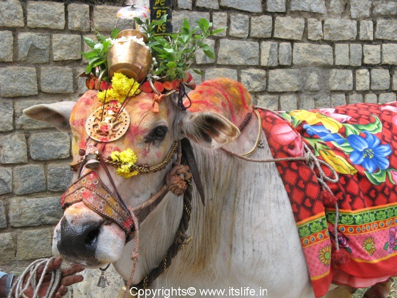 Kerala